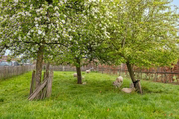 Photo 50 of Hoofdstraat 20-D