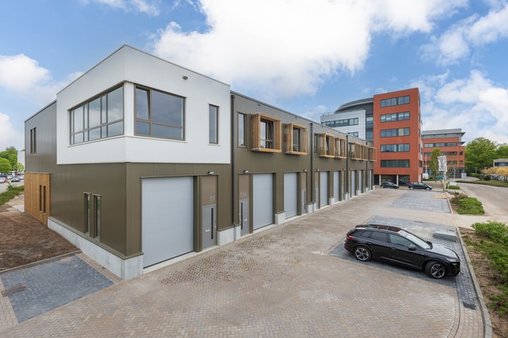 de Waal 11