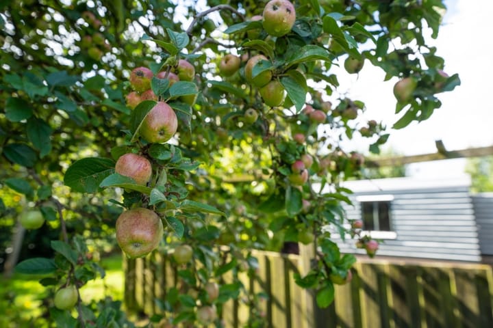 Foto 48 van Hoofdweg 65