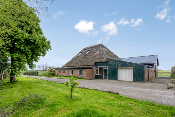 Photo 8 of Paradijs 5