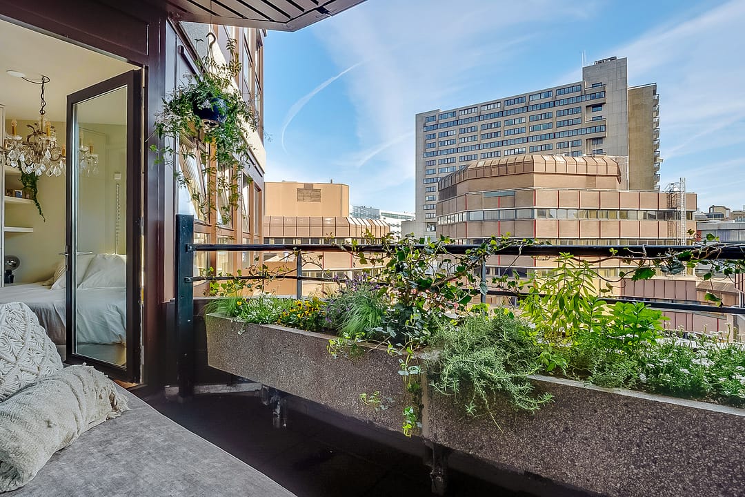 Foto 22 van Smakkelaarsveld 21