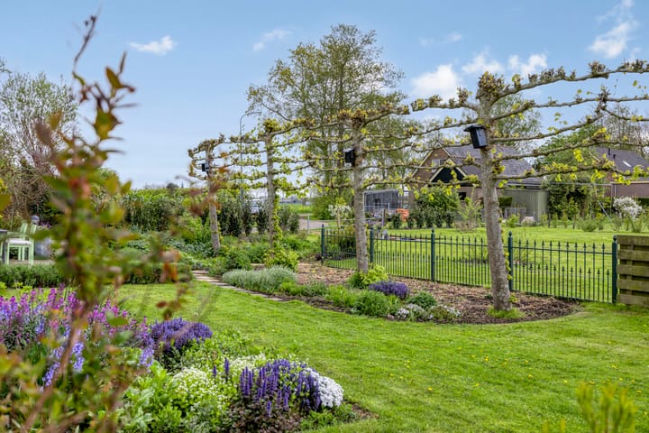 Photo 35 of Paradijs 5