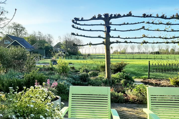 Photo 36 of Paradijs 5