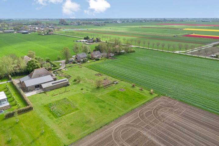 Photo 54 of Paradijs 5