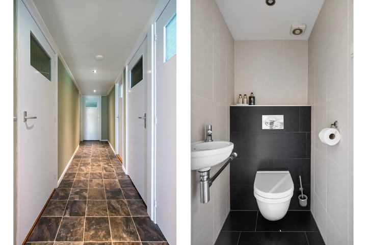 Photo 10 of Paradijs 5