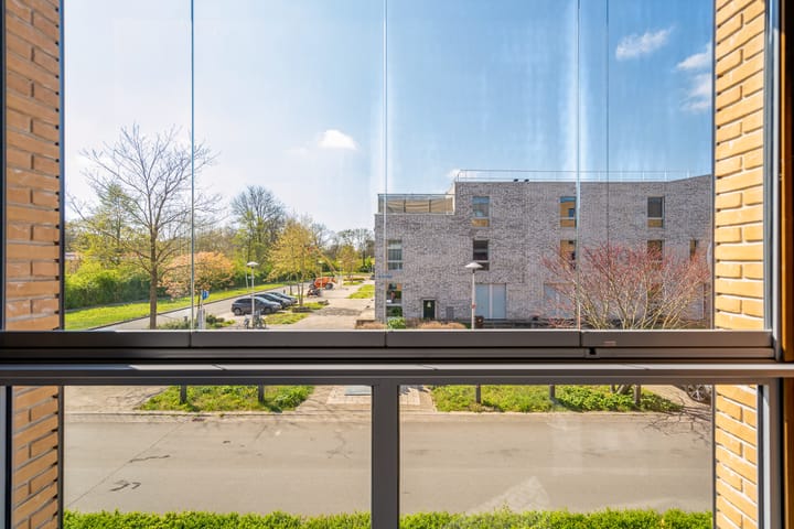 Foto 14 van Ryelandstraat 3