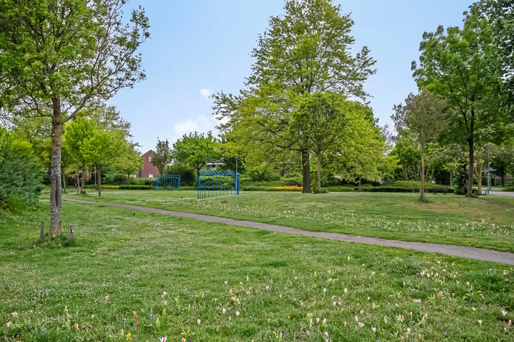 Photo 47 of Wolfsklauw 13