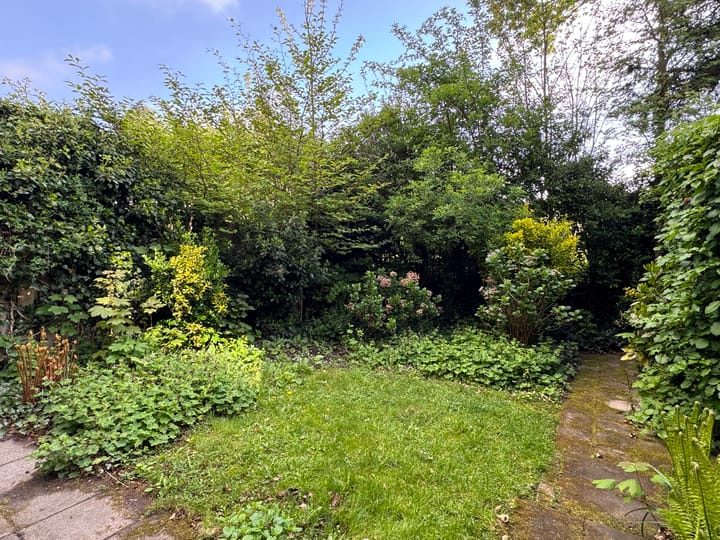 Foto 13 van Rosakker 30