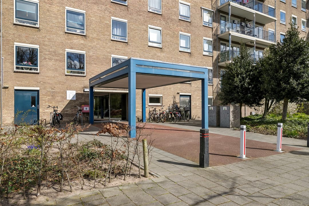 Foto 1 van Aert van Neslaan 104