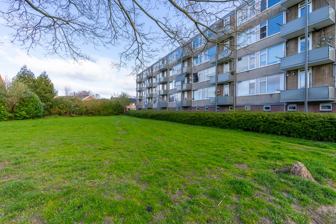 Foto 2 van Nicolaas Maesstraat 46