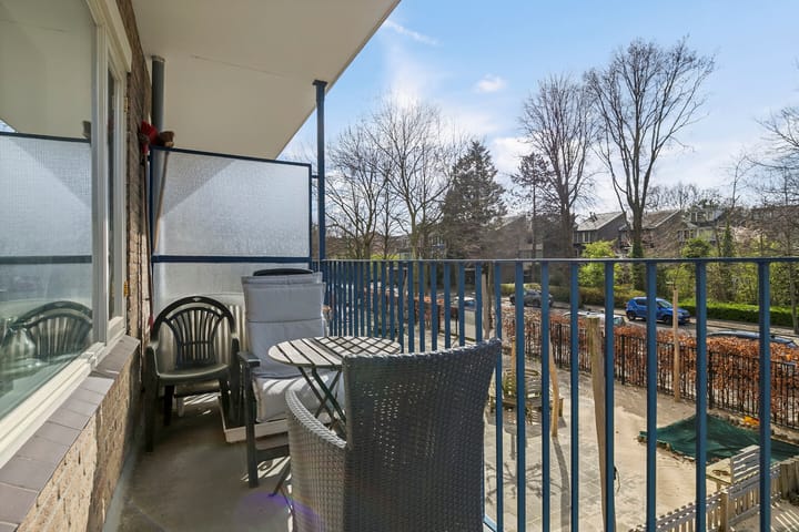 Foto 12 van Aert van Neslaan 104