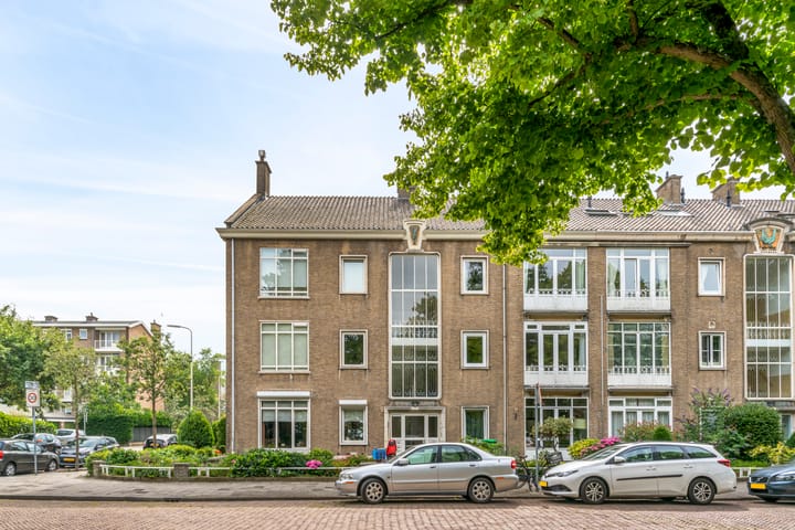 View photo of Thérèse Schwartzestraat 98