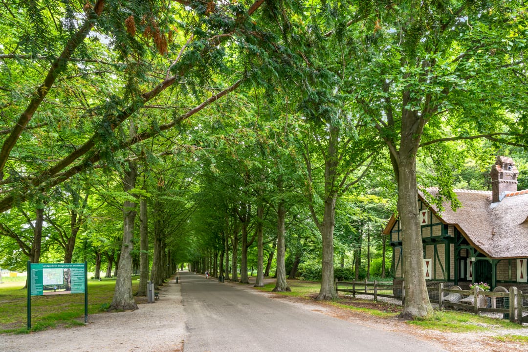 Foto 23 van Thérèse Schwartzestraat 98