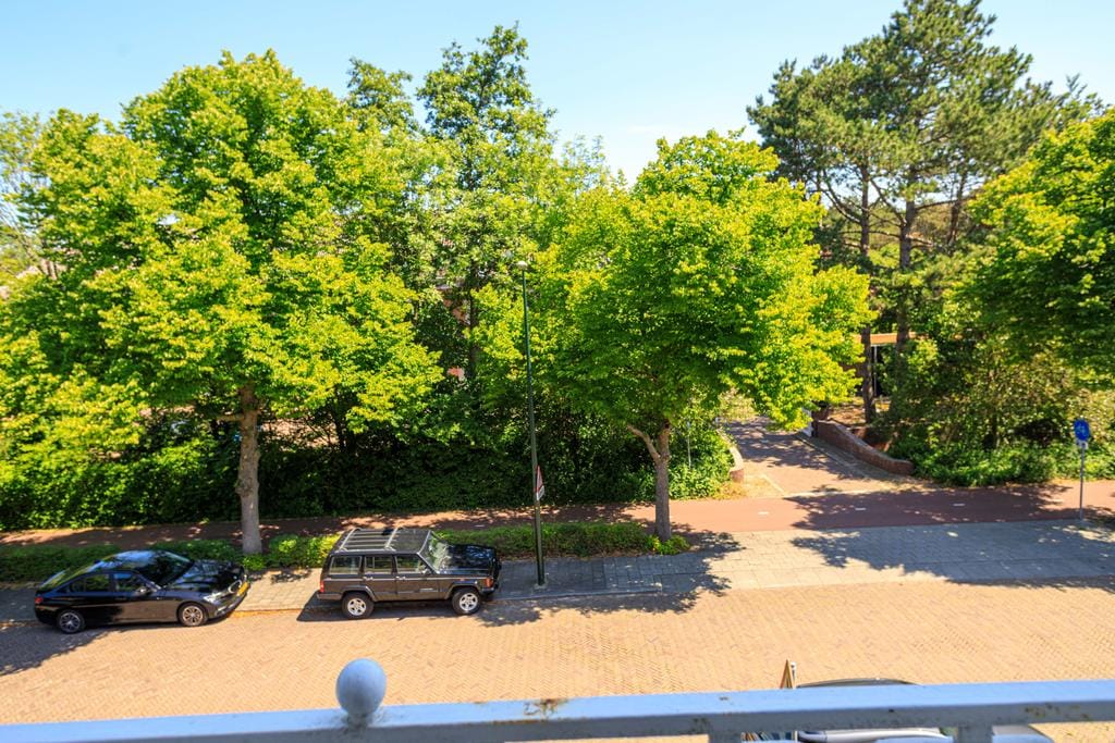 Foto 25 van Thérèse Schwartzestraat 98