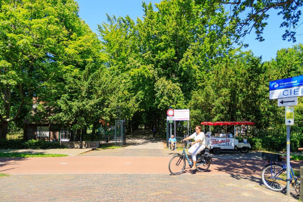 Foto 28 van Thérèse Schwartzestraat 98