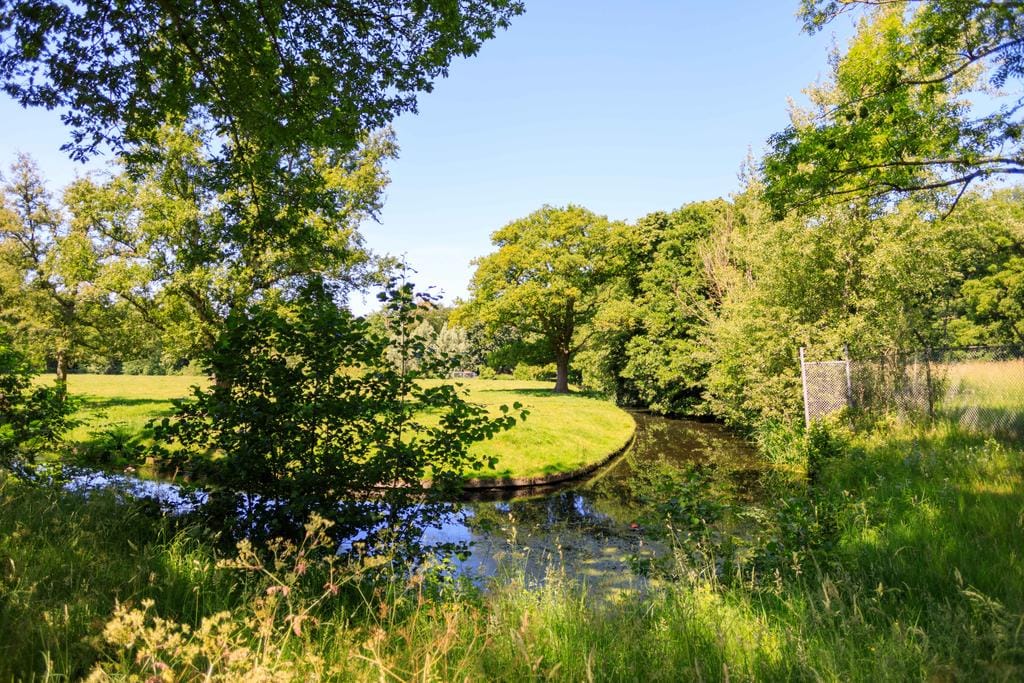 Foto 26 van Thérèse Schwartzestraat 98