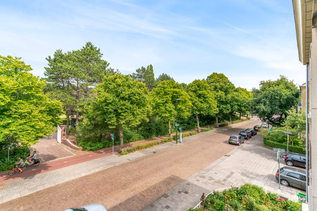 Foto 22 van Thérèse Schwartzestraat 98