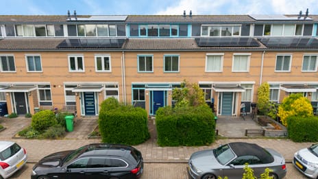 undefined main image