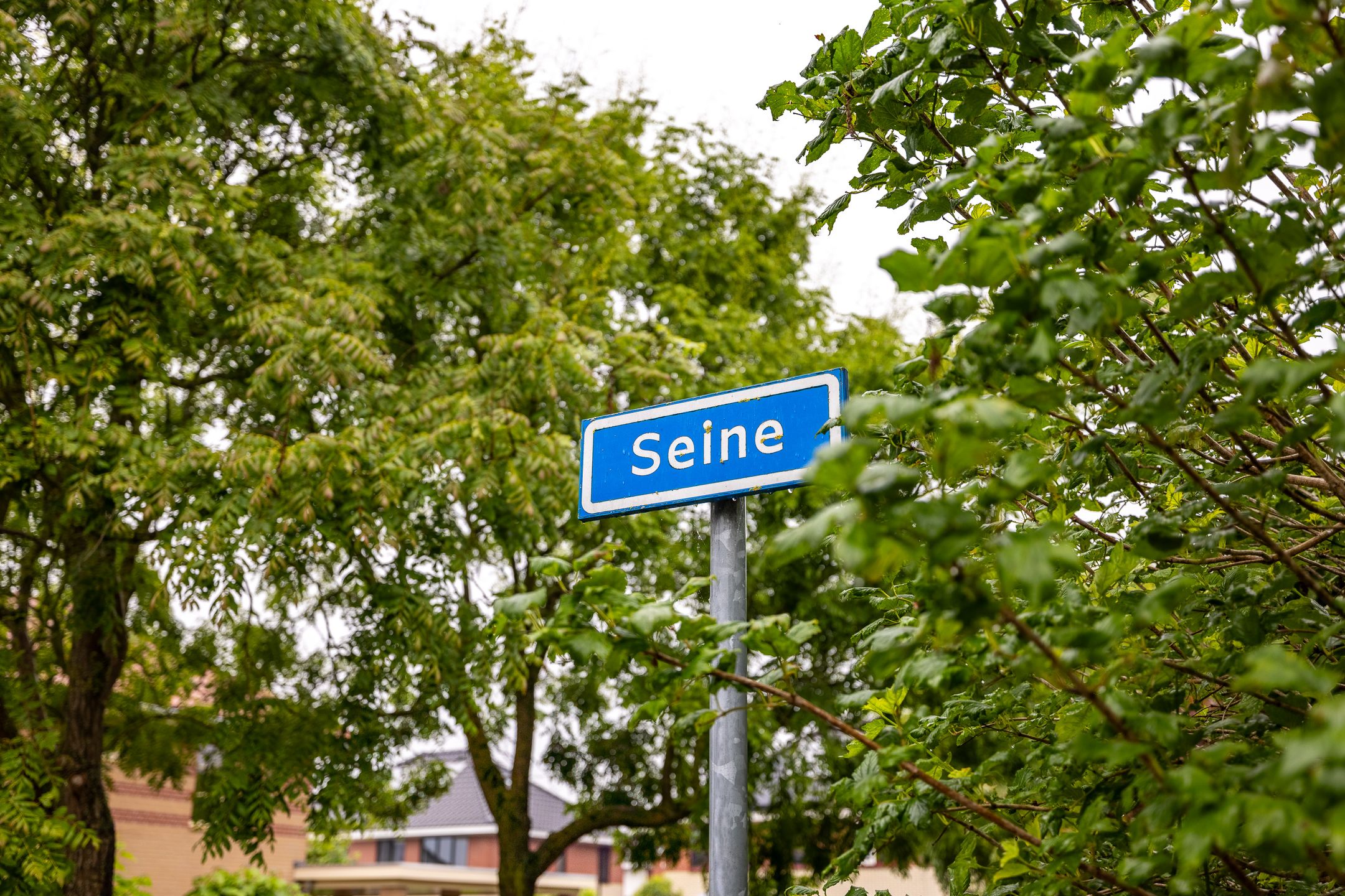 Foto 51 van Seine 10