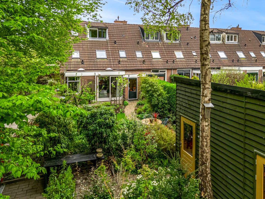 Photo 2 of Weegbree 72