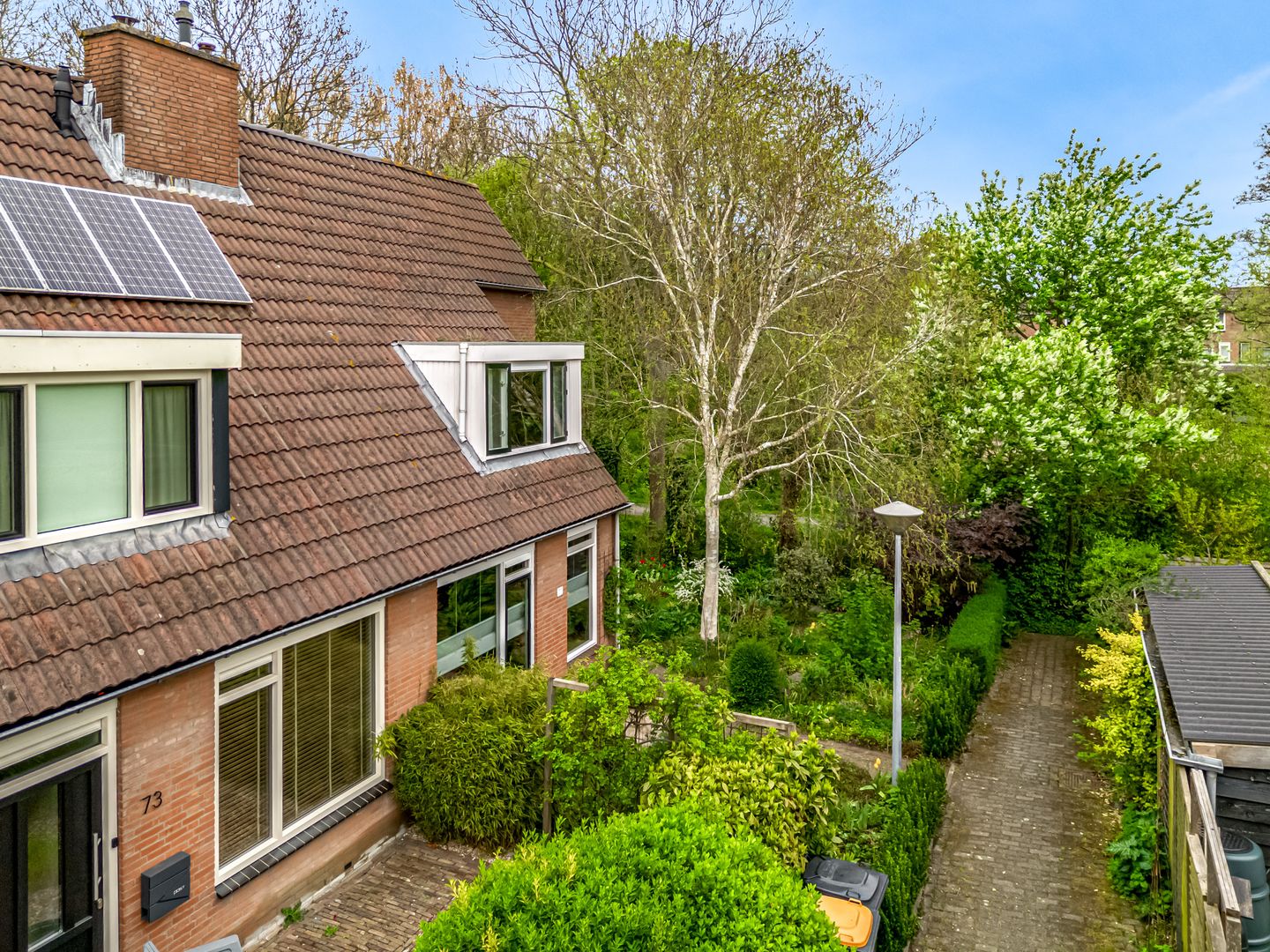 Photo 5 of Weegbree 72