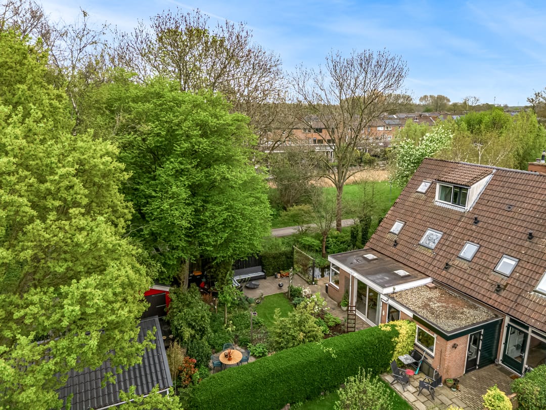 Photo 8 of Weegbree 72