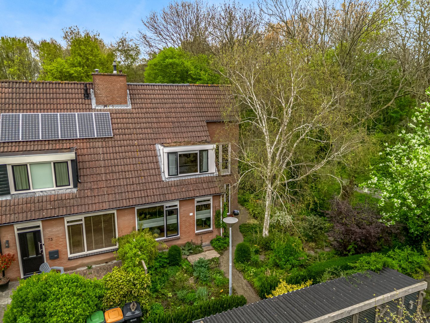 Photo 10 of Weegbree 72