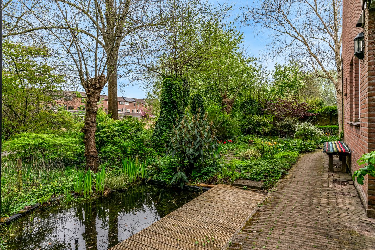 Photo 14 of Weegbree 72