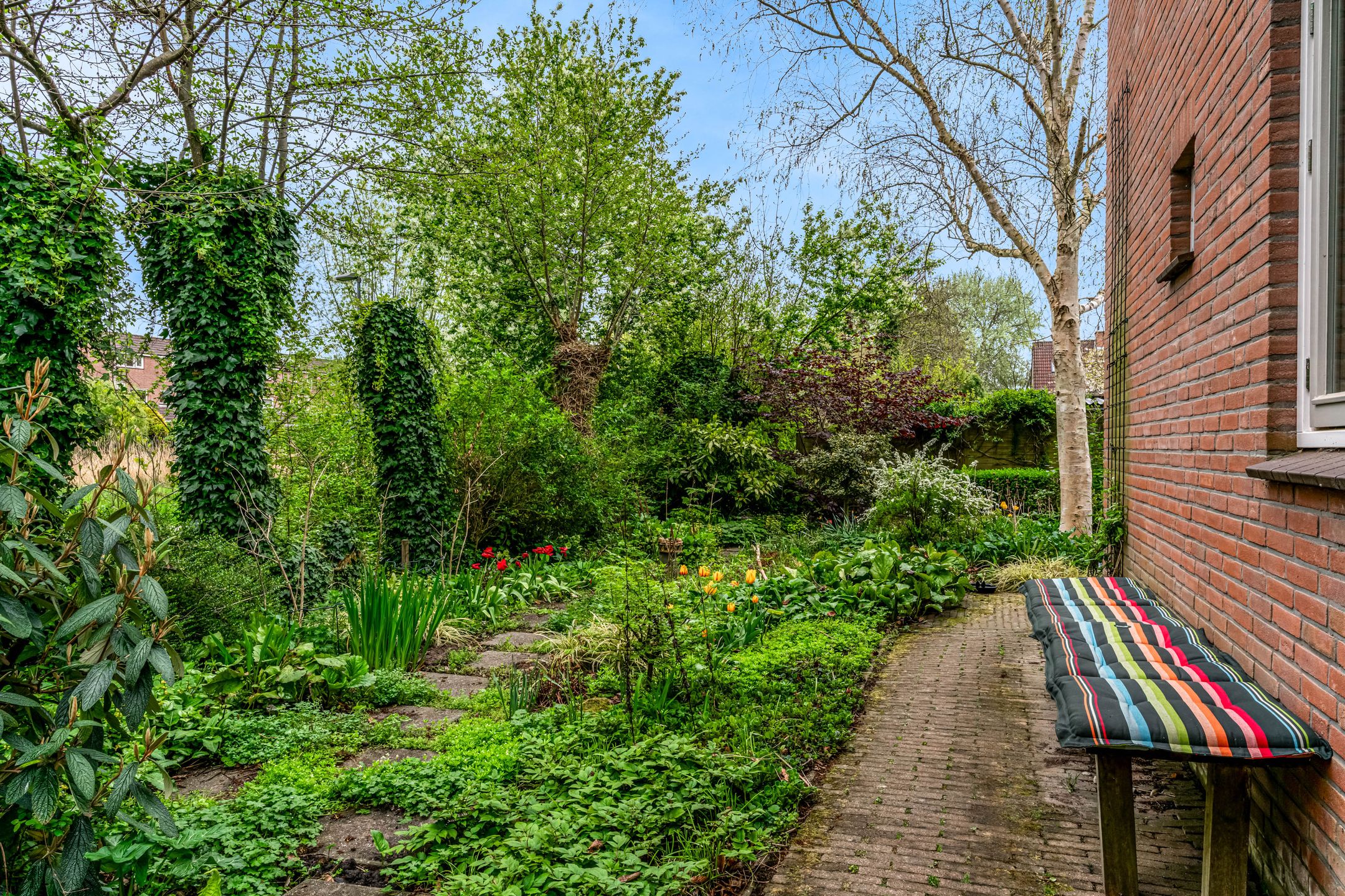 Photo 15 of Weegbree 72