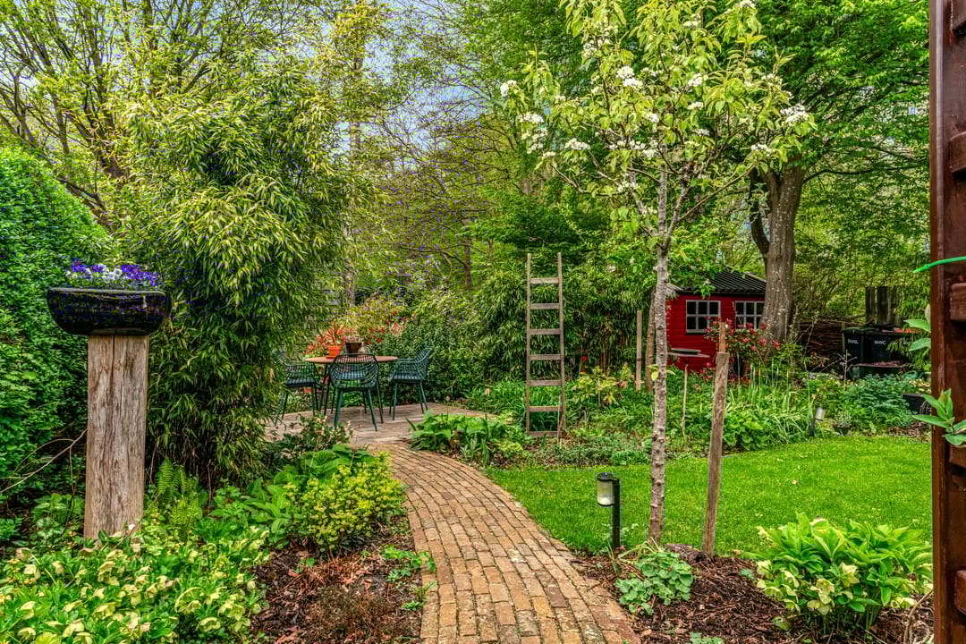 Photo 17 of Weegbree 72