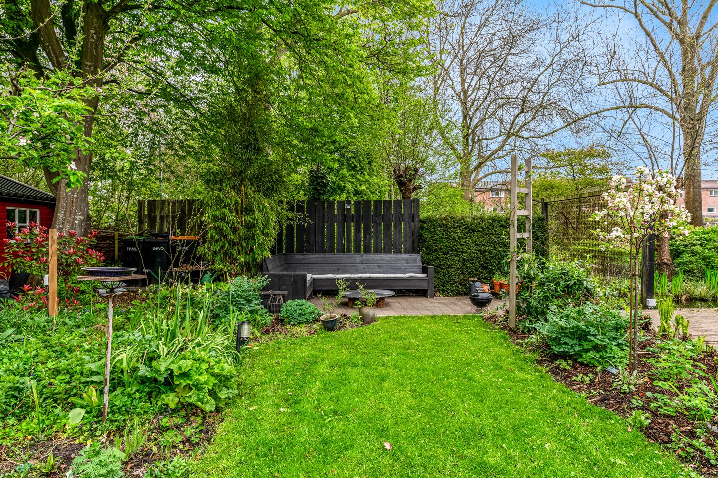 Photo 19 of Weegbree 72