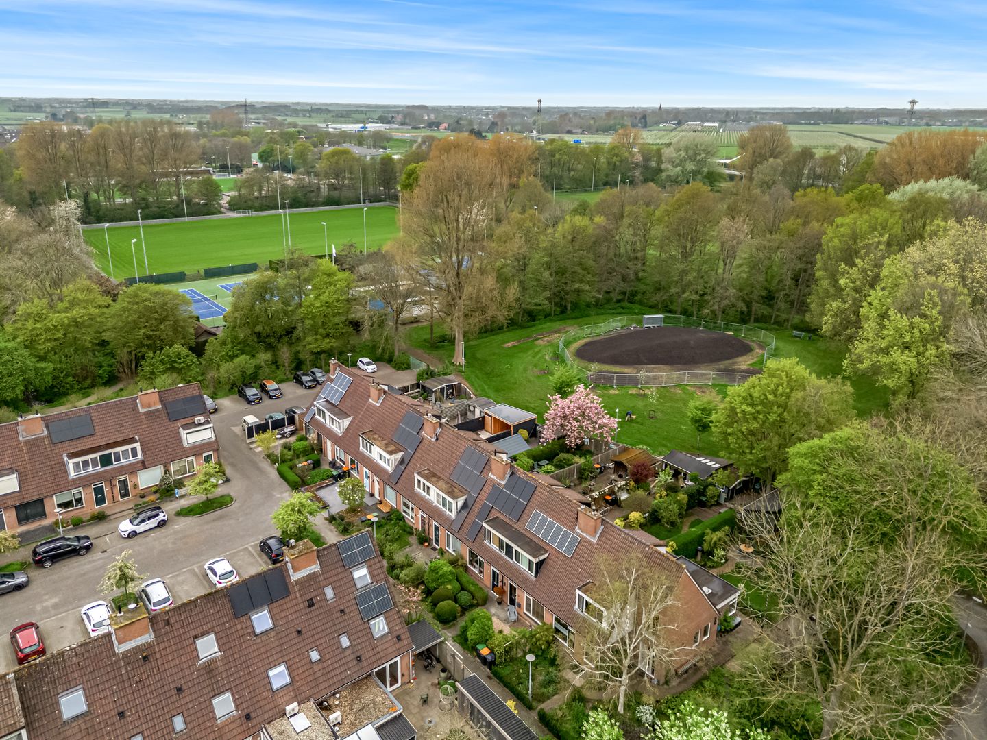 Photo 4 of Weegbree 72