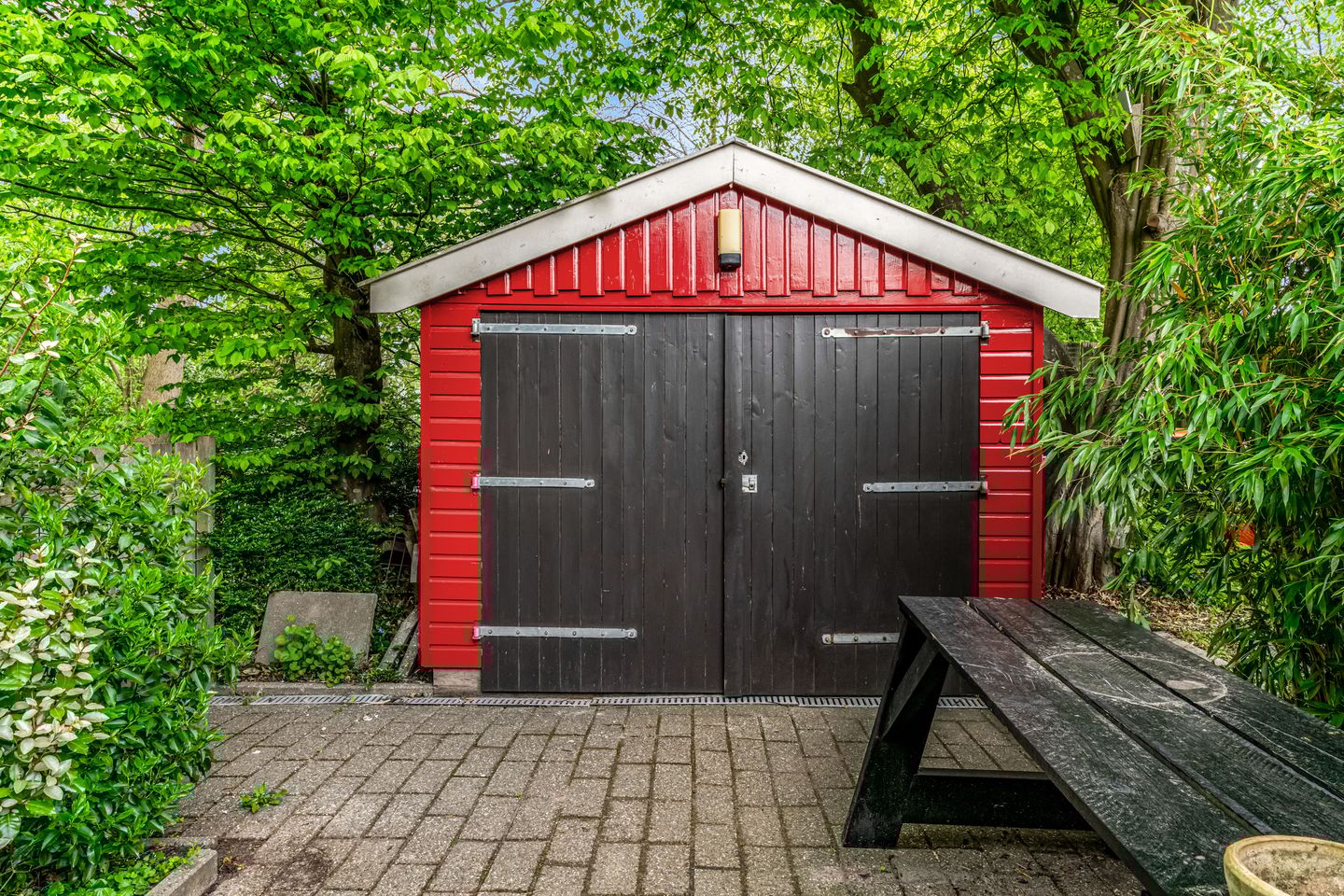 Photo 20 of Weegbree 72