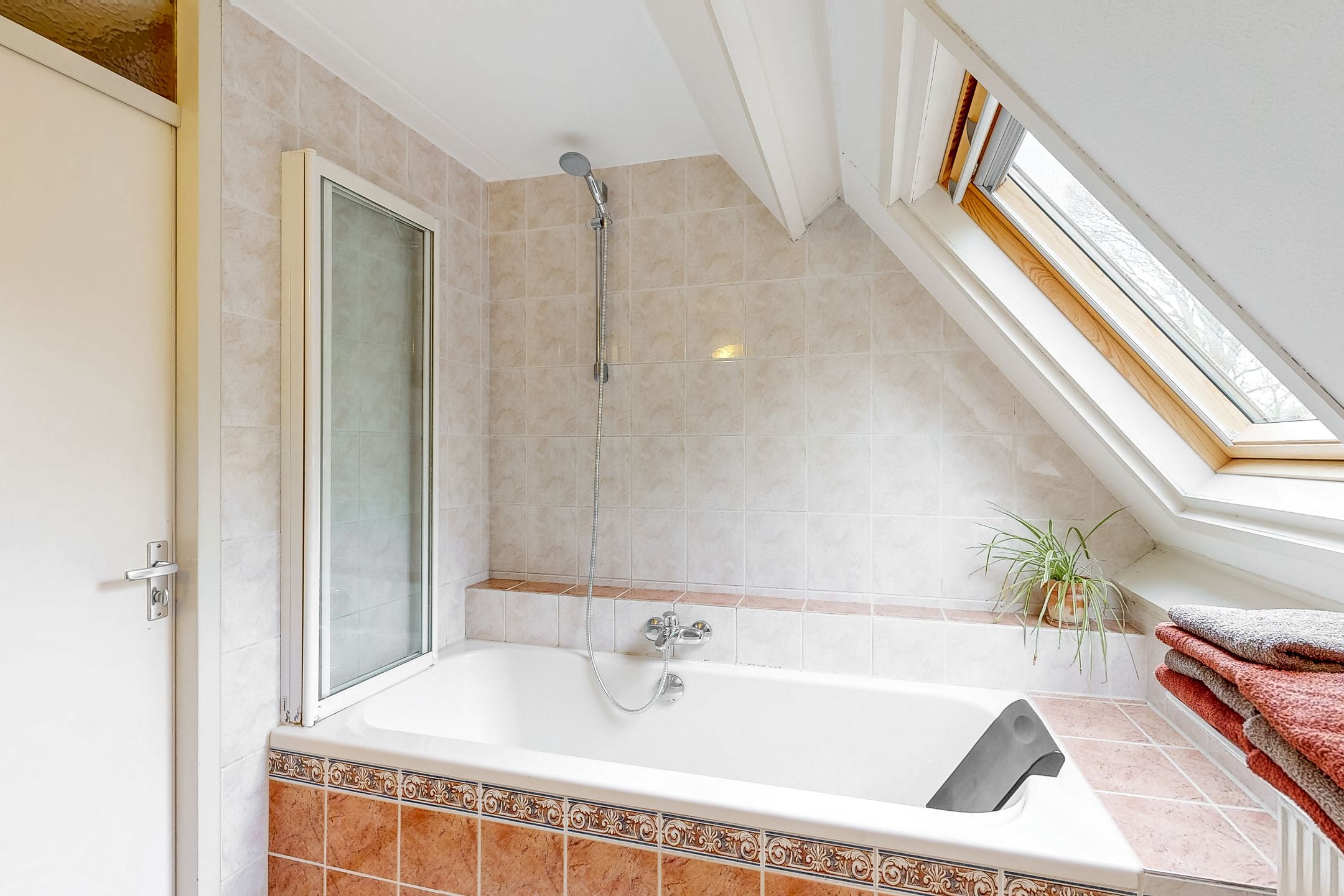 Photo 45 of Weegbree 72