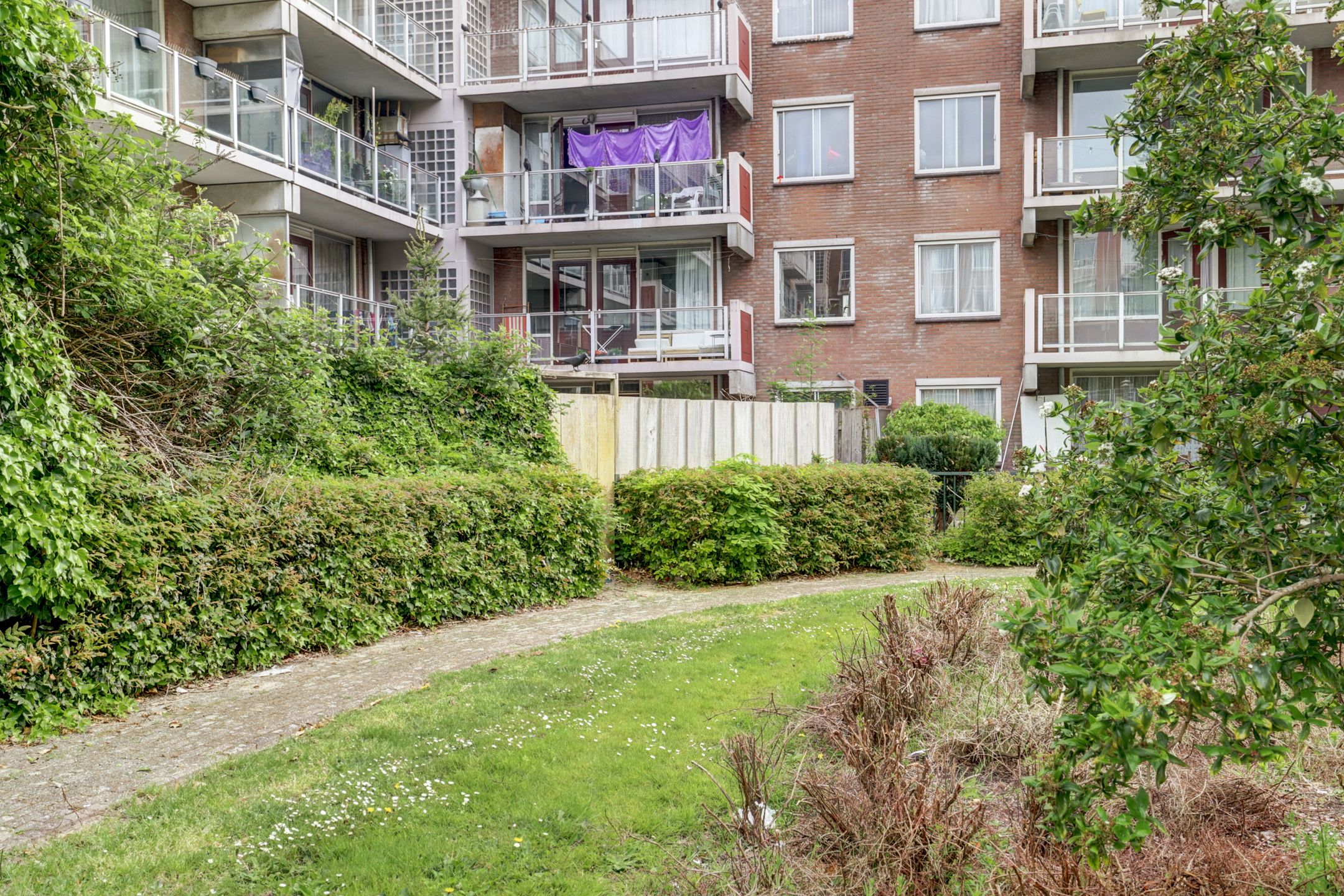 Foto 24 van Dalsteindreef 200