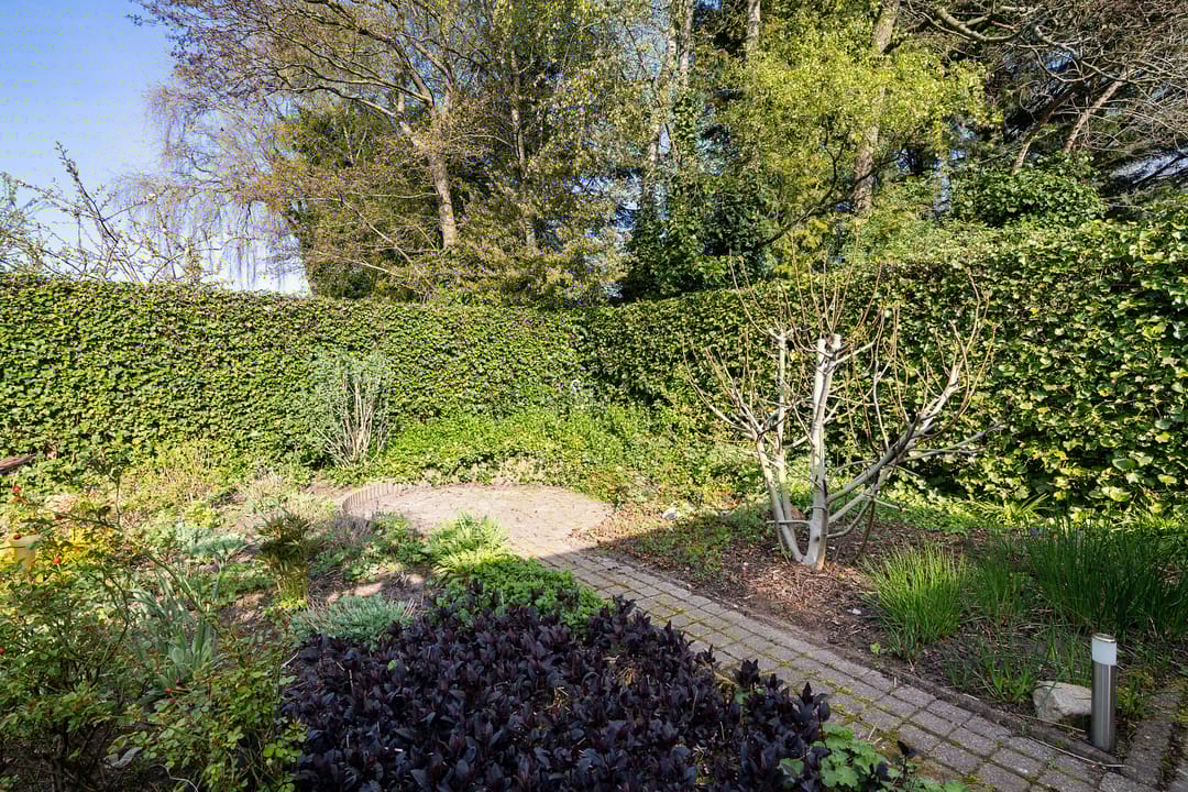 Photo 31 of Burgemeester De Vriesstraat 11