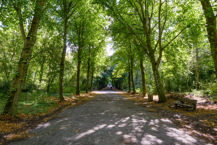 Photo 44 of Atjehstraat 88