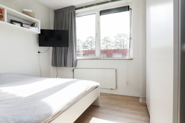 Foto 24 van Rheezerveld 9