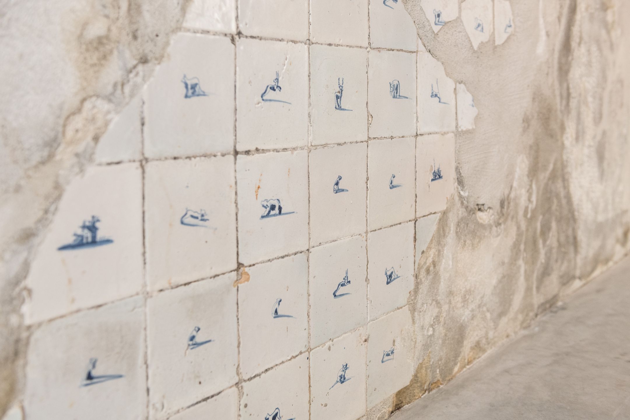 Photo 27 of Burgwal 3-ZW