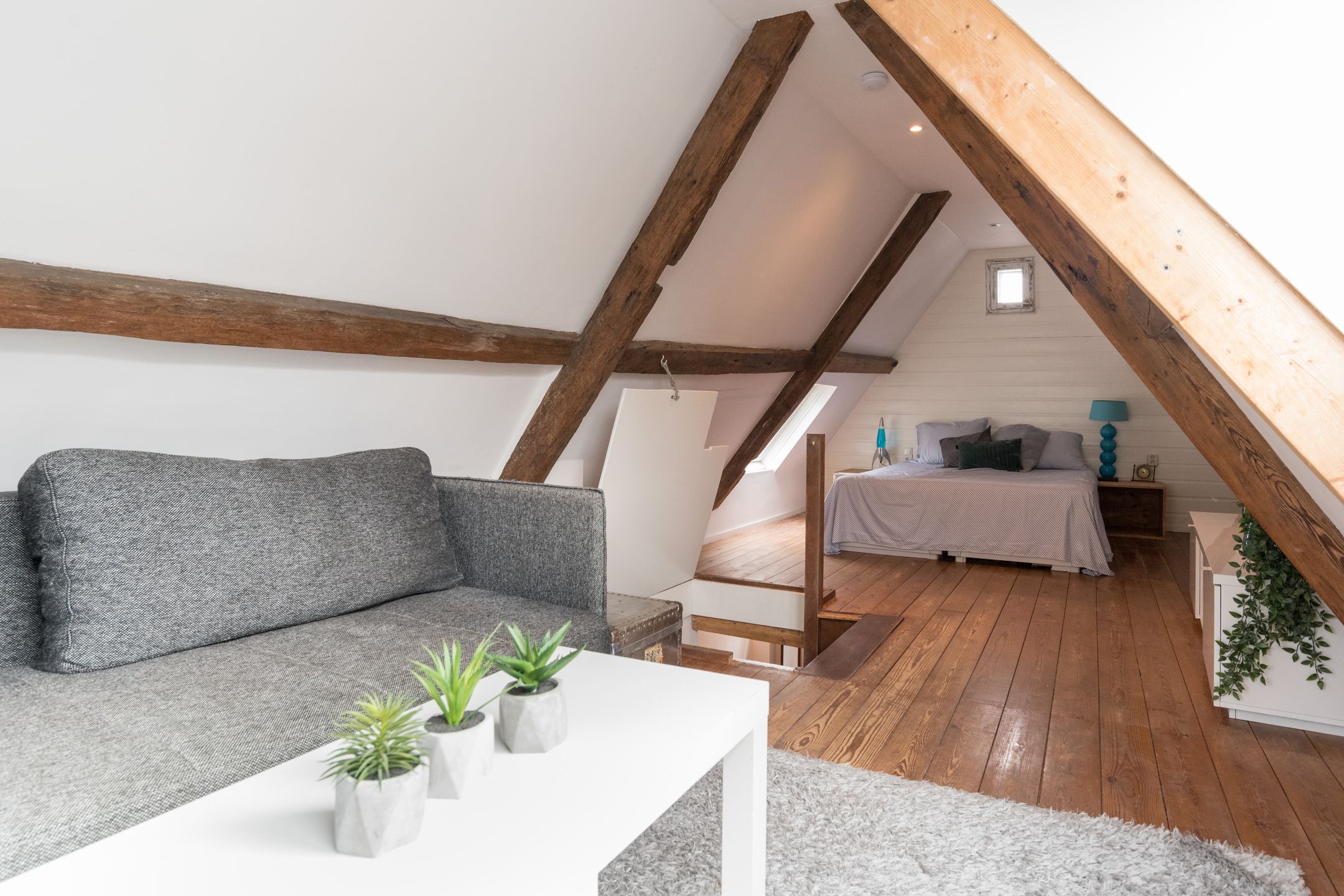 Photo 36 of Burgwal 3-ZW