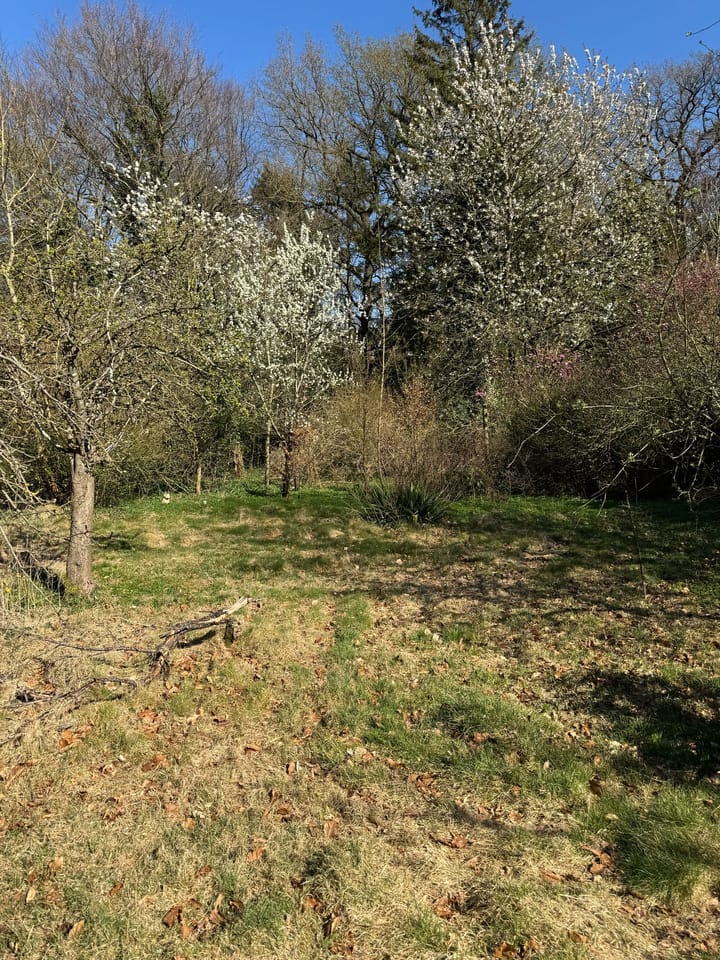 Foto 13 van Barnflair Oost 7