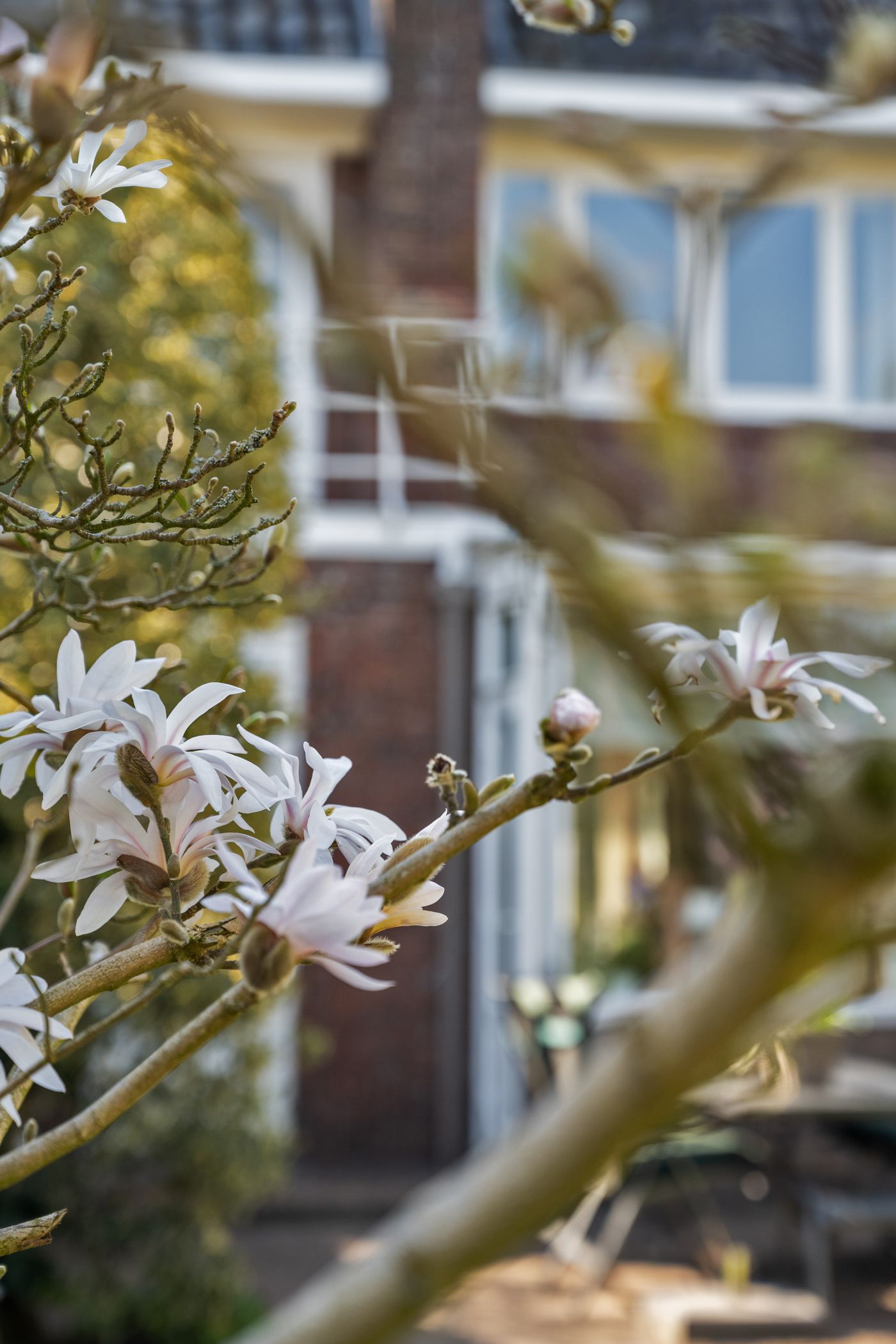 Foto 49 van 1e Barendrechtseweg 173