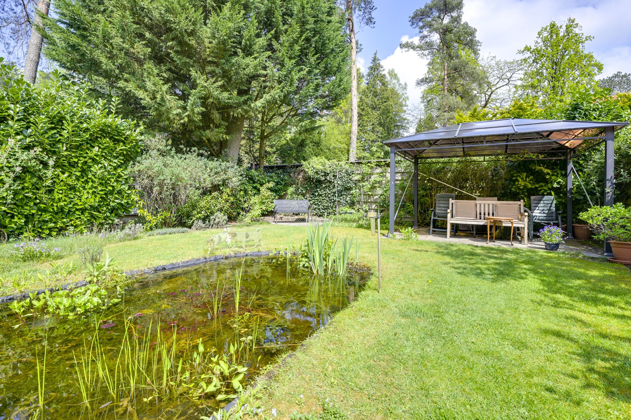 Photo 6 of Austerlitzseweg 16