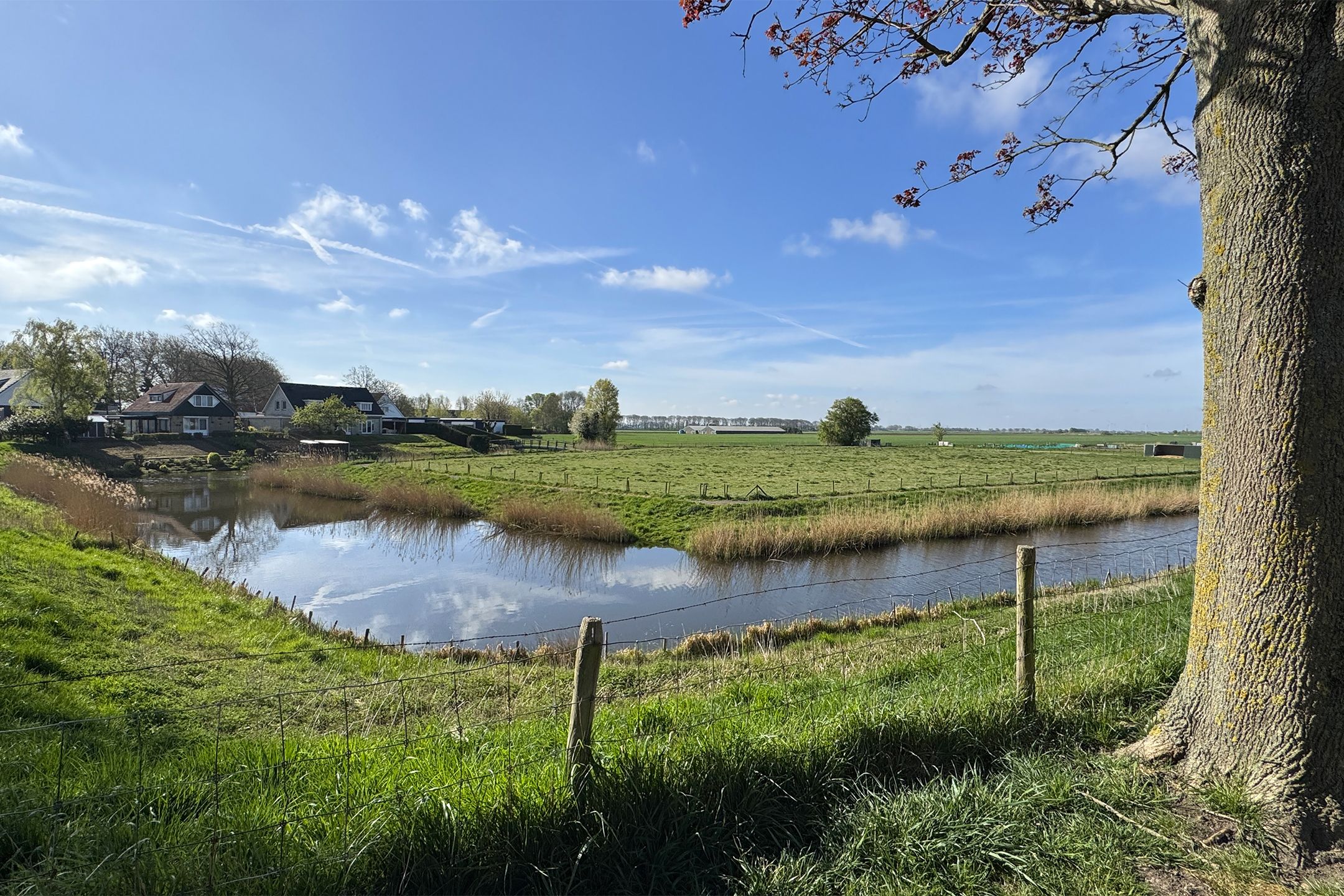 Photo 6 of 't Walletje 15