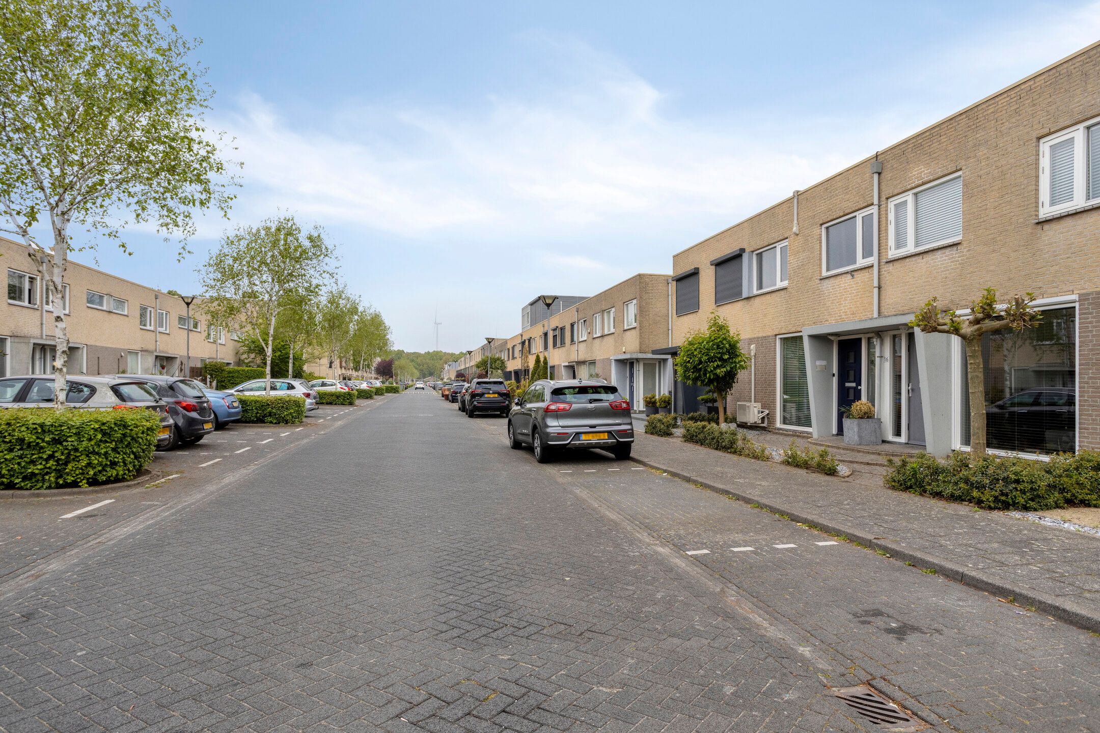 Foto 36 van Lisdodde 16