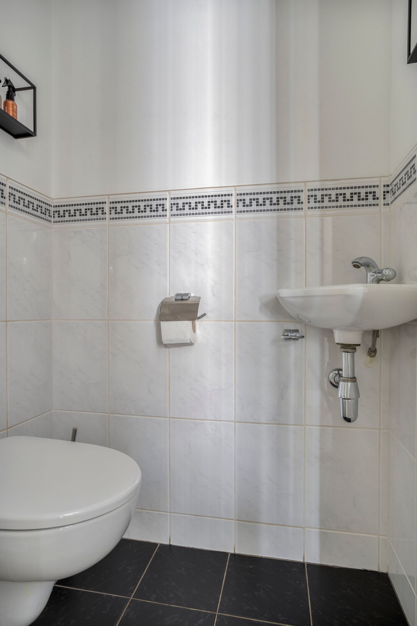 Foto 18 van Lisdodde 16