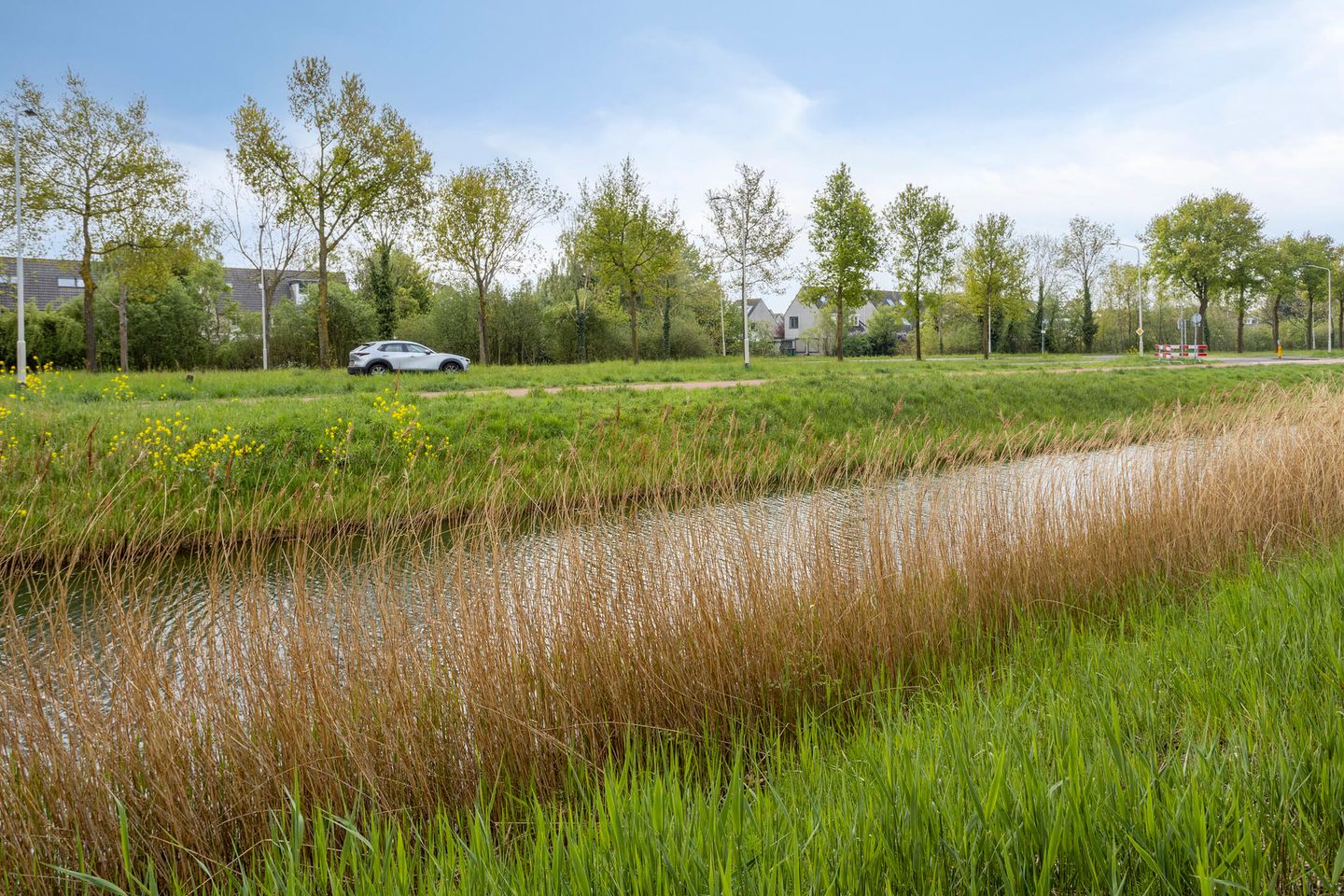 Foto 40 van Lisdodde 16