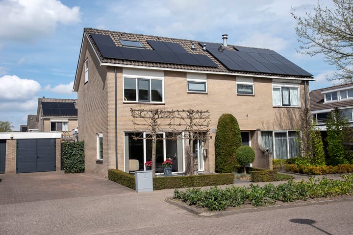 Foto 1 van Klaproos 6