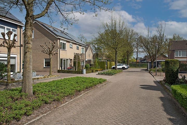 Foto 41 van Klaproos 6