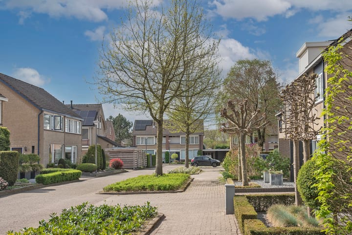 Foto 42 van Klaproos 6